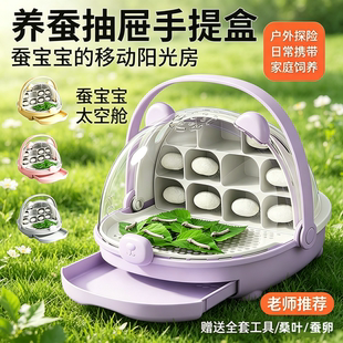 蚕宝宝学生养蚕套装蚕卵幼虫蝉宝宝饲养箱专用盒豪华别墅全套工具
