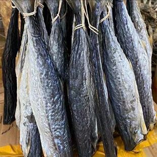 正宗咸香马鲛鱼新鲜实肉马鲛咸鱼咸鱼茄子煲咸鱼五花肉老咸鱼鲅鱼