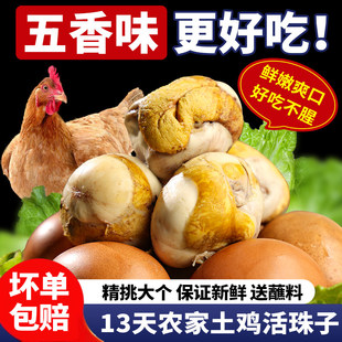 酱总家的山村美味活珠子酱总瑾贝金凤毛蛋抖音同款开袋即食熟香辣