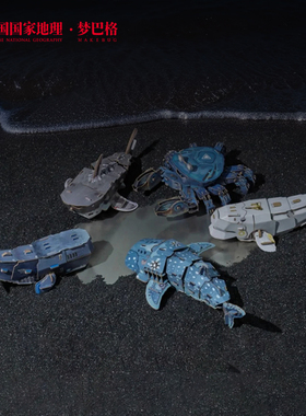 中国国家地理梦巴格 班门弄甲系列 立体手工拼插纸模 摆件礼物diy