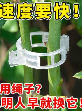 植物瓜果固定卡扣藤蔓吊扶蔓绿植爬藤果树绑带黄瓜西红柿支撑夹环
