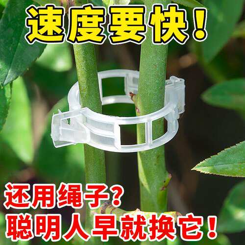 植物藤蔓固定卡扣支撑夹环