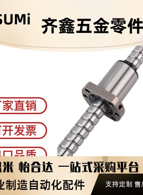 滚珠丝杠C-BSSTH/BSSTHK/BSSCH/BSSCHK1205 1210 2005 2010 2505