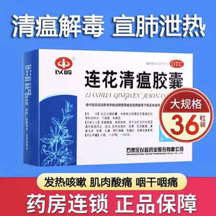 连花 连花清瘟胶囊 0.35g*36粒 流行性感冒发热高热恶寒 肌肉酸痛