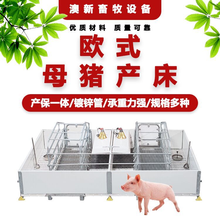 欧式双体单体PVC围板分娩保育一体式产床保育床两用母猪产床食 槽
