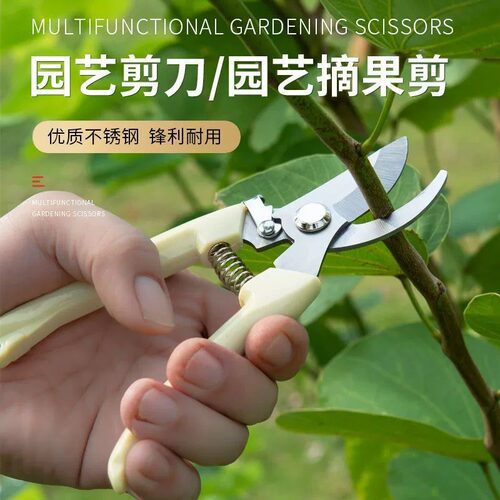园艺剪修枝剪园林剪花艺剪剪树枝果树树枝剪子工具修花