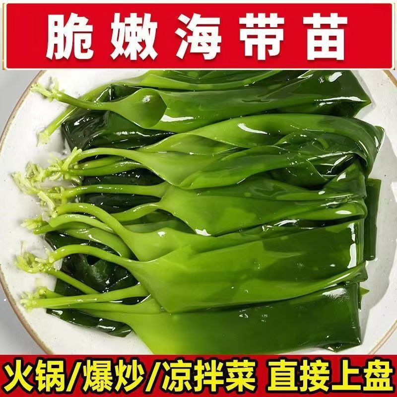 霞浦盐渍海带苗500g干净无沙裙带菜家用海白菜小海带芽嫩苗商用