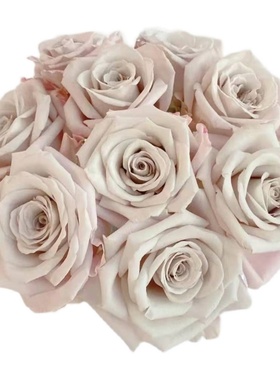 曼塔玫瑰花云南鲜花基地直发x昆明斗南市场直批空运水养花灰色顺