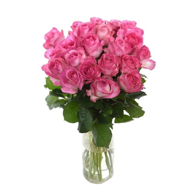 A级糖果玫瑰 桃红大花p朵 花瓶插花DIY花艺 婚礼鲜切花 同城直送,鲜花速递/花卉仿真/绿植园艺,花材,淘宝优惠券,粉丝福利购,淘宝优惠卷
