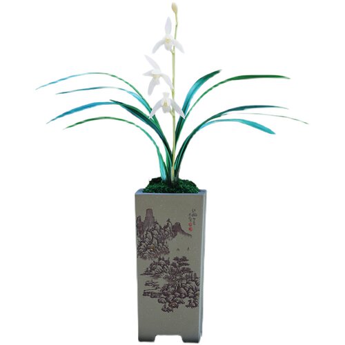 建兰四季兰c花漓江雪浓香花卉盆景盆栽土绿植兰带草植物花苞名贵
