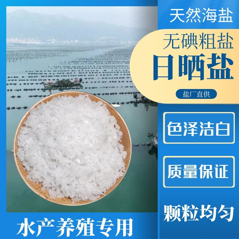 日晒盐工业盐粗盐大颗粒无碘原盐