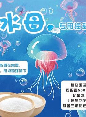 水母海盐水母海盐海水鱼海盐