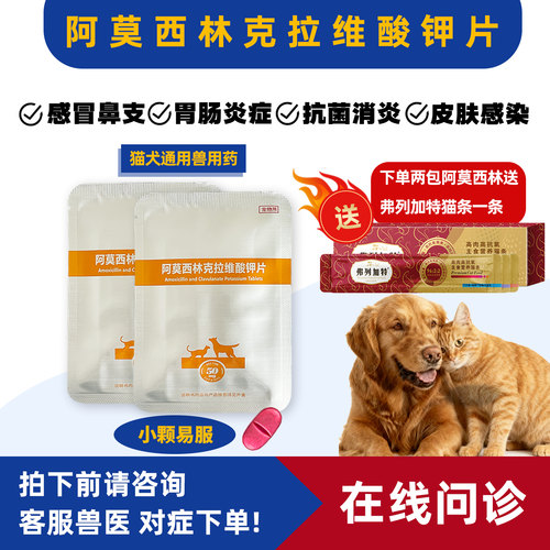 阿莫西林克拉维酸钾宠物狗猫通用