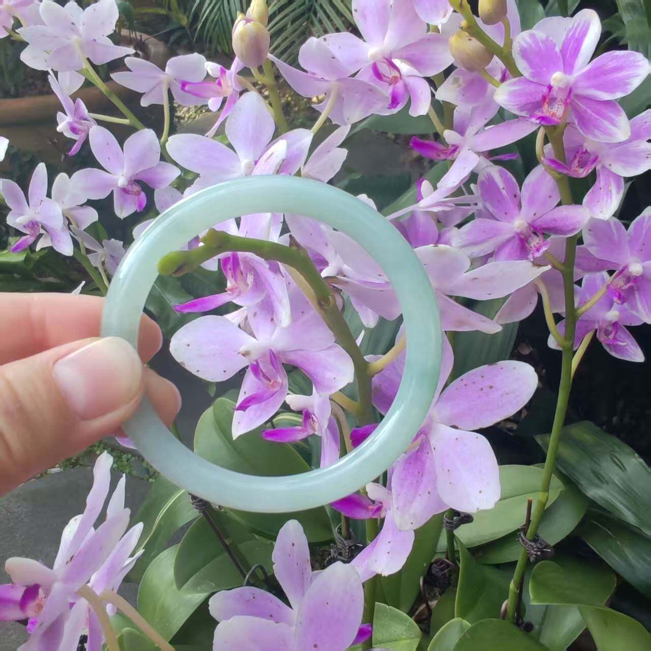 天然缅甸料翡翠A货手镯叮当镯细糯种晴底老坑正品玉镯女神款送礼