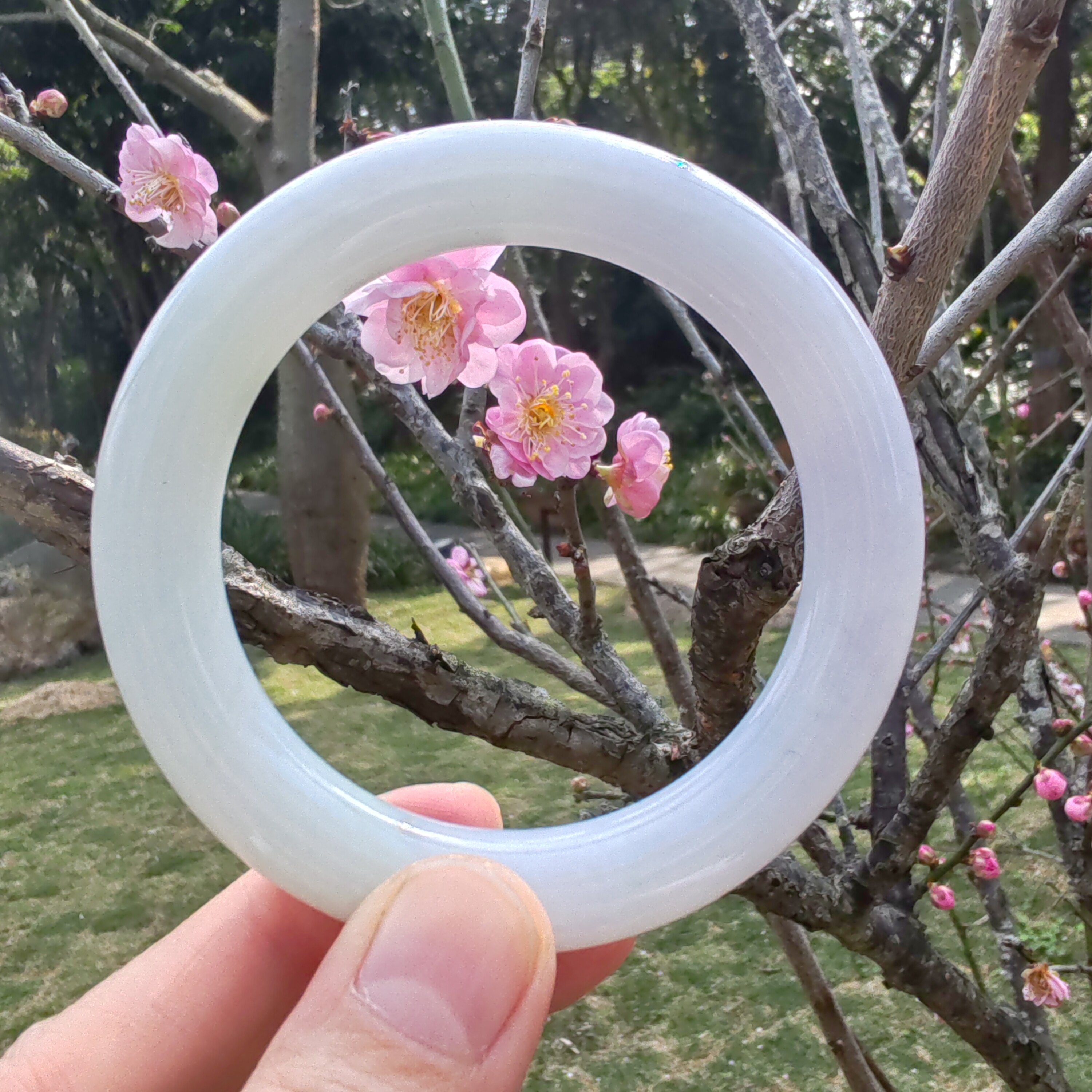 53.8圈缅甸料天然A货翡翠手镯细糯种春带彩圆条玉镯女款春节送礼