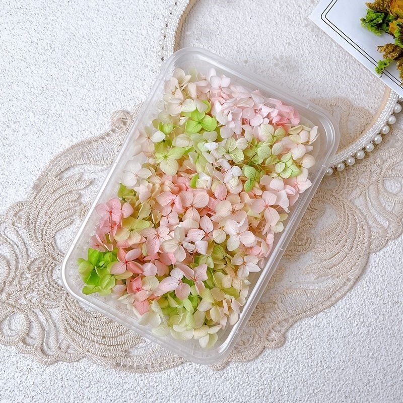 新娘脸上妆容贴花花化妆r干花贴脸饰品花瓣妆容拍照影楼写真仙女