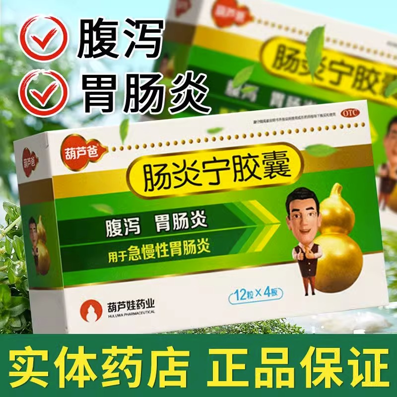 【葫芦爸】肠炎宁胶囊300mg*48粒/盒