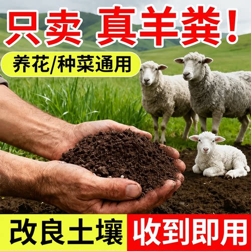 羊粪发酵有机肥蔬菜专用花肥腐熟发酵羊粪农家肥种菜种花果树底肥