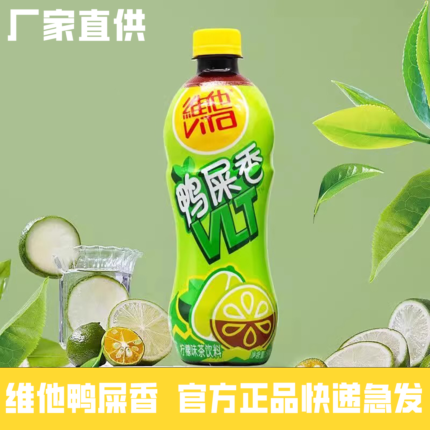 维他鸭屎香500ml*15瓶柠檬茶