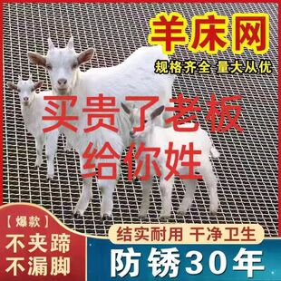 羊床网 羊床漏粪钢丝网铁丝网热镀锌围栏网鸡鸭鹅养殖网漏粪板