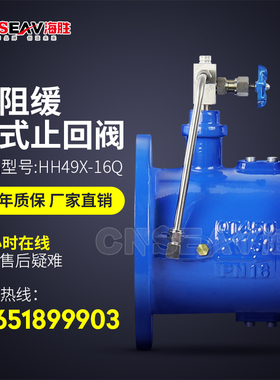 HH48X/HH49X-16Q蝶式微阻缓闭式止回阀防水锤水泵消声自来水止回