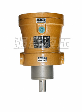 全新启东申力高压油泵10/25/40/63/80/108/160/250MCY14-1B轴包邮