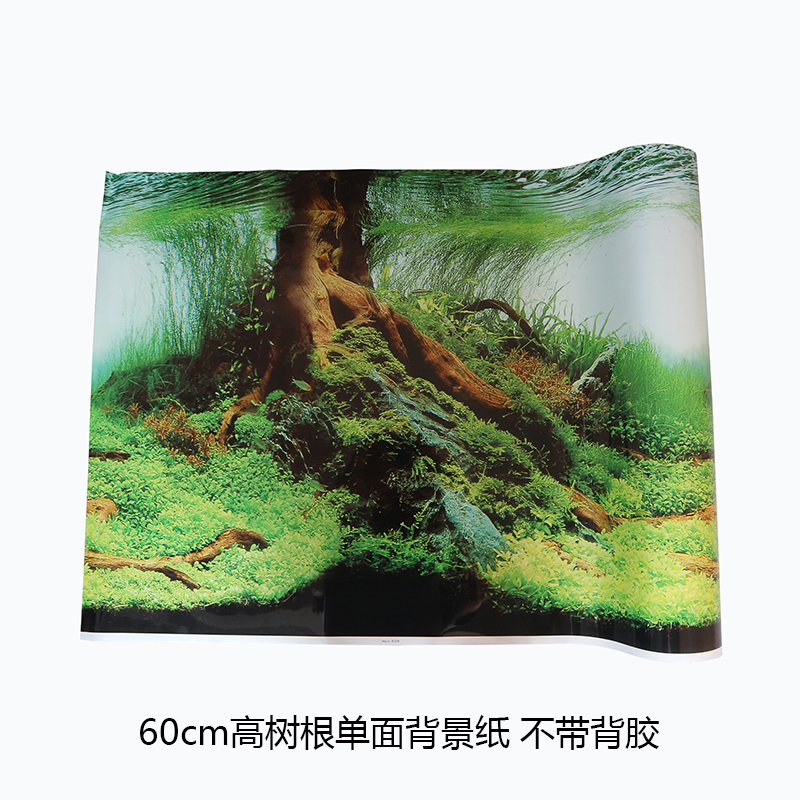 鱼缸背景贴纸画高清图底