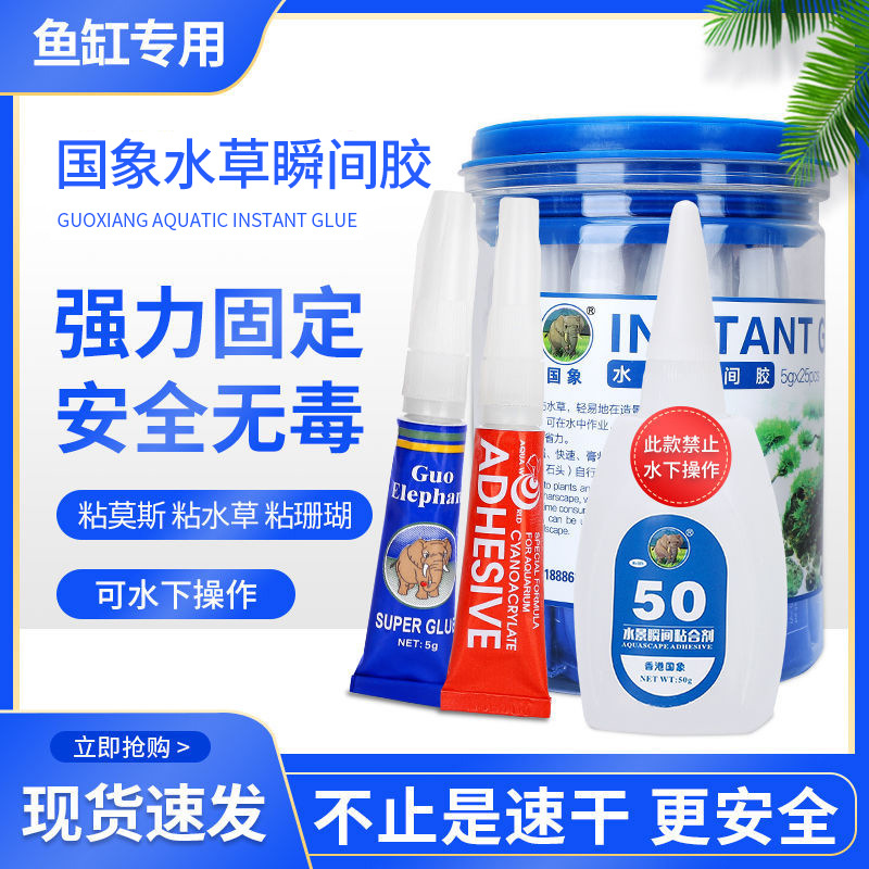 国象海水造景胶草莫斯树