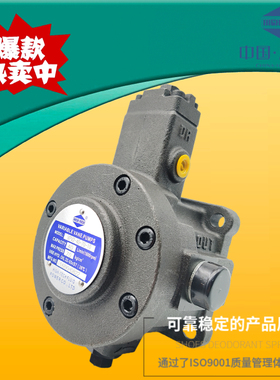 HIGHTECH海特克液压油泵VPV2-30/40-20/35/55/70-20/10变量叶片泵