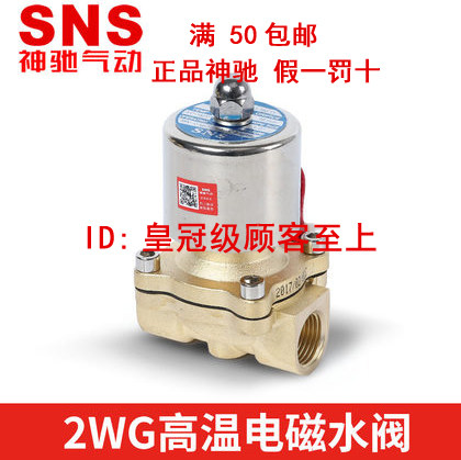 SNS神驰高温全铜电磁阀2WG025 040 160 200 250-08 10 15 20 25