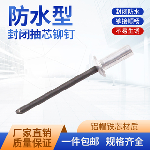 扁圆头卯钉M3.2M4M5 GB12615铝制封闭型抽芯铆钉防水拉铆钉密封式
