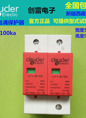 包邮家用2P100ka避雷防雷浪涌保护器spd电源电涌电路防护LY1-B100