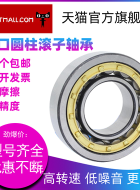 德国HBFP圆柱滚子轴承NJ1005 1006 1007 1008 1009 1010 EM