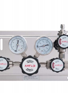 AMFLO敦阳PS110列单侧特气控制面板  面板安装   带出扫PS110L