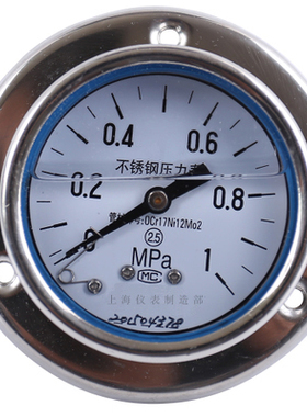 YTN60ZT 轴向带边耐震压力表Y-63BFZ 2.5级 0-25mpa M14*1.5 充油