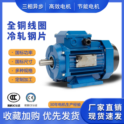 YE4/YE5高效电机YE3-100L-2三相异步低压电动机3KW卧式YS铝壳电机