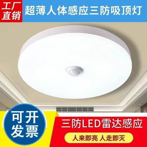 人体感应吸顶灯智能声光
