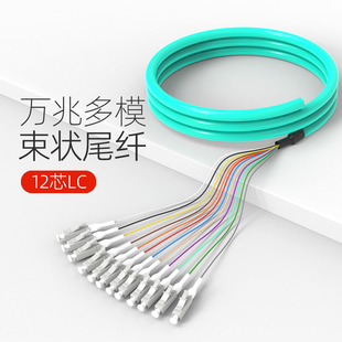 12芯束状尾纤 LC FC SC ST 12芯束状尾纤OM4万兆多模OM3光纤跳线