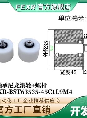带螺杆BST63535-45C1L9M4尼龙塑料滚轮双轴承加宽输送带POM滑轮