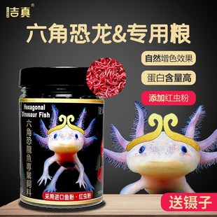 六角恐龙鱼饲料东方蝾螈专用小火龙娃娃鱼粮红虫底栖鱼下沉底鱼食