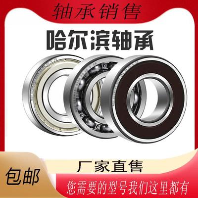 哈尔滨高速电机轴承6306 6307 6308 6309 6310 6311N 2Z 2RZ P5C4