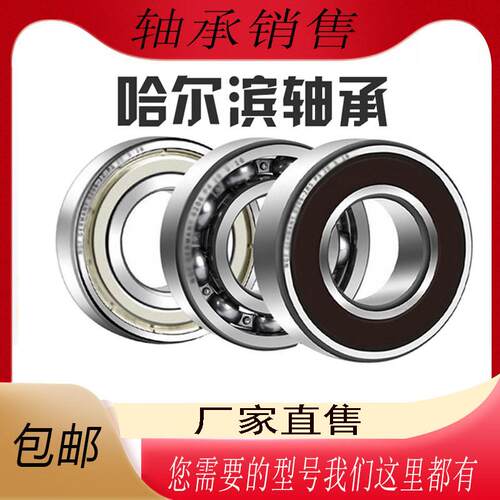 哈尔滨高速电机轴承6306 6307 6308 6309 6310 6311N 2Z 2RZ P5C4