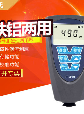 北京时代TT210涂层测厚仪油漆电镀层镀锌测厚度铁铝两用型漆膜仪
