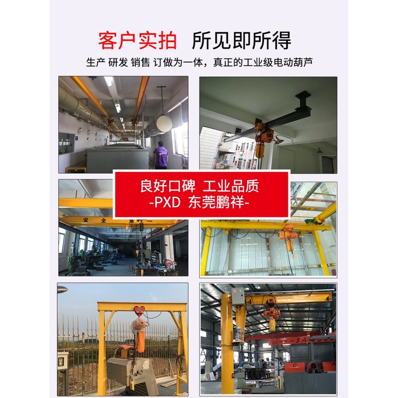 一吨电动葫芦鹏祥鬼头环