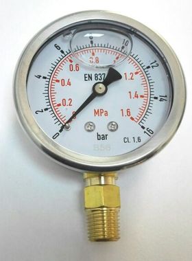 耐震压力表 直径61mm 压力16bar 1.6mpa leipai 精度1.6级 yn-63