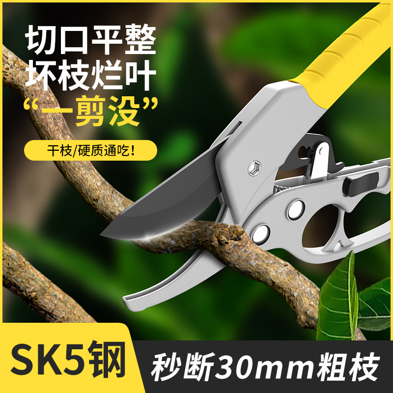 园艺剪刀果树修枝修剪树枝专用花艺枝剪子剪枝园林工具花剪修枝剪图片