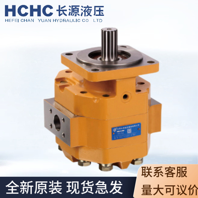 HCHC长源液压齿轮马达CMZTG3200/3180/3160/3150/3140-BFφS油泵