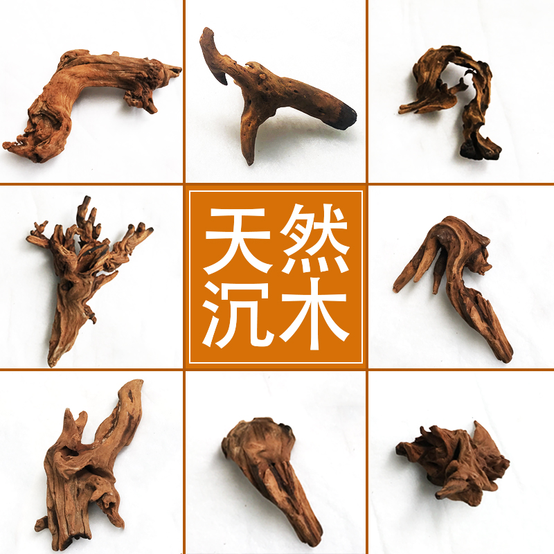 鱼缸造景沉木天然小号珊