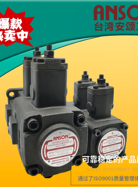 ANSON安颂PVDF2-A/B/C/D20/35/55/70-A20/B35/C55/D70-15双联油泵