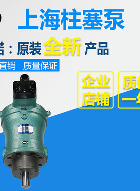 新款10YCY 25YCY 40MCY 63YCY 80YCY 100YCY 160YCY14-1B上海包邮